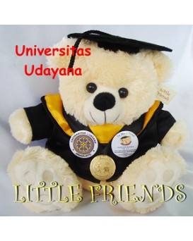 Boneka Wisuda Universitas Udayana - Teknik Elektro (30 cm)
